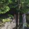 Lakefront Cottage Close to Bar Harbor on 8 acres - Orland