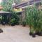 Manuh Guest House