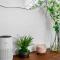 The Concept, An Exclusive, Upscale B&B in Moon Valley - 凤凰城