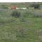 Wild Wetlands Lodge