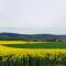 Ferienwohnungen Landliebe "Auszeit mit Wohlgefühl" - Catharinau