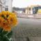 Ferien im Heckenland
