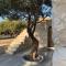 The Olive House - Agia Galini