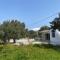 The Olive House - Agia Galini