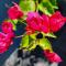 Steenbok Self-Catering