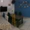 Onça da Praia Hostel