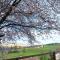 Affittacamere San Rocco
