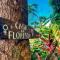 Hostel Zen - Casa na Floresta