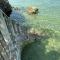 Nature Seaview