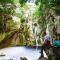 The Dreamcatcher's View - Suurbraak