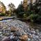 Beautiful Rural Retreat and Sapphire Springs Thermal Mineral Pools