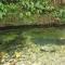 Beautiful Rural Retreat and Sapphire Springs Thermal Mineral Pools