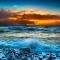 Seaside 111