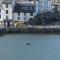 Stunning Penthouse views to harbour with parking. - Brixham