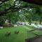 Athirappilly Rainland Resort