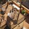 Roof Top 3 Floors