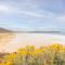 8 Ocean View Lodge - 3 Bed-Sleeps 6-TJS8OV