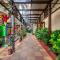 Golden Tulip Candolim, Goa