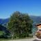 Alpengasthof Enzianhof - Zell am Ziller