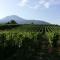 Vesuvio Inn Guest House e Wine Experience