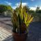 Villiera Guest Farm