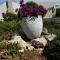 Villiera Guest Farm