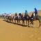 Merzouga camel trek - 梅尔祖卡