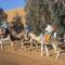 Merzouga camel trek