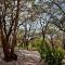Highlight Studio Apartment in Playa Negra