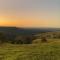 Flame Hill Vineyard