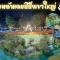 แพนด้าแคมปิ้งเขาใหญ่ - Ban Khanong Phra Klang (1)