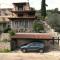 The Olive Tree