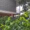 Magnifique appartement 15 minutes de Fort de France