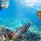 Island Oasis: Beach & Views - Enighed