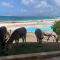 Residence Mont Vernon Tortola 5315