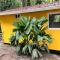 Tiny jungle house, few minutes from the beach - 科克莱斯