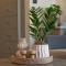 Ixia home
