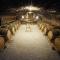The Gate House & Winery