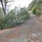 Villa PIEMONTE, 3 camere, 3 bagni, e splendida vista mare! by Alfareal