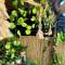 Suite Dreams Staycation - Cozy 2-BR - Wi-Fi Garden Kitchen