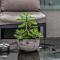 Pass the Keys Contemporary Fulham Penthouse with Large Balcony - London