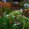 La Fortuna Lodge by Treebu Hotels - Fortuna