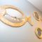 Appartement Flut No 5