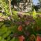 Cloran Mansion Bed & Breakfast