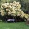 Blissful Country Garden King Bed Cottage