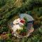 Selva Negra Cabins