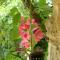 Residence Beausejour