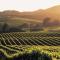 Gorgeous Napa Valley Getaway - Steps from Wineries - Napa