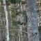 Private Lakefront A-Frame Near Acadia & Bar Harbor - Otis