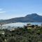 Olive Grove